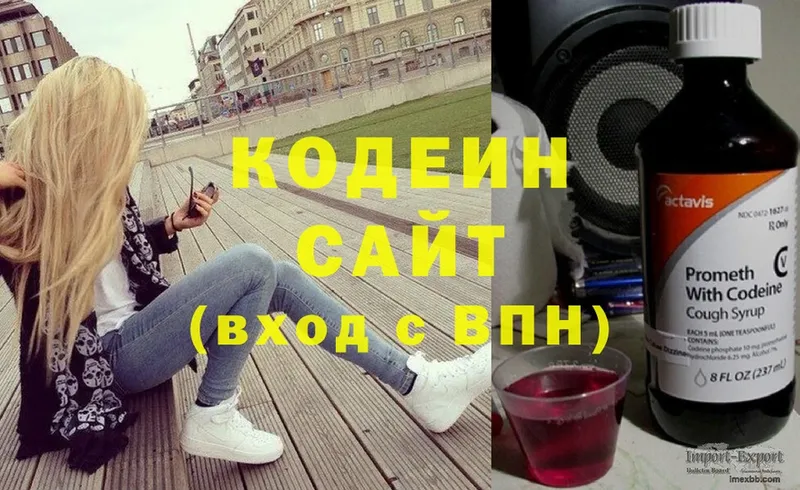 наркотики  мега как войти  Кодеиновый сироп Lean Purple Drank  Александровск 